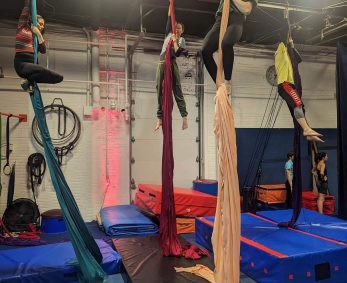 Aerial Silks